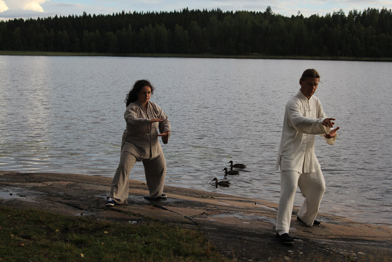 Семинар в Финляндии, в Савонлине, 2013