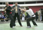 Олимпиада боевых искусств «Восток-Запад» 2007, школа Тунг